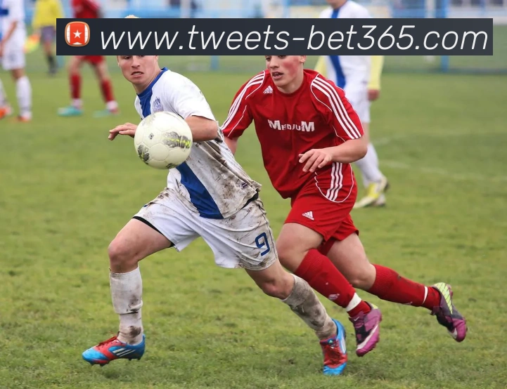 bet365全站App bet365全站App